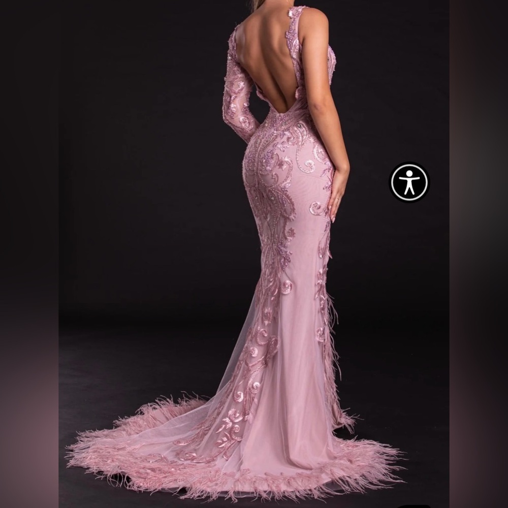 Portia and Scarlett Blush Long Sleeve Feather Fringed Embroidered Gown Size 6 - Picture 12 of 16